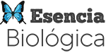 BioEsencia